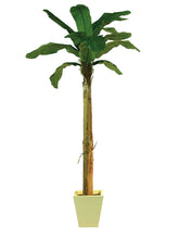 Lade das Bild in den Galerie-Viewer, Künstliche Bananen-Palmen mit Seidenblättern und Naturstämmen. 6 Größen 100 bis 240 cm.
