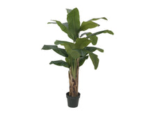 Lade das Bild in den Galerie-Viewer, Künstliche Bananen-Palmen mit Seidenblättern und Naturstämmen. 6 Größen 100 bis 240 cm.