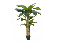 Lade das Bild in den Galerie-Viewer, Künstliche Bananen-Palmen mit Seidenblättern und Naturstämmen. 6 Größen 100 bis 240 cm.