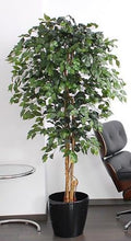 Lade das Bild in den Galerie-Viewer, Künstlicher Ficus-Benjamini-Baum mit Naturstamm und seidenen Blättern. 150 bis 500 cm