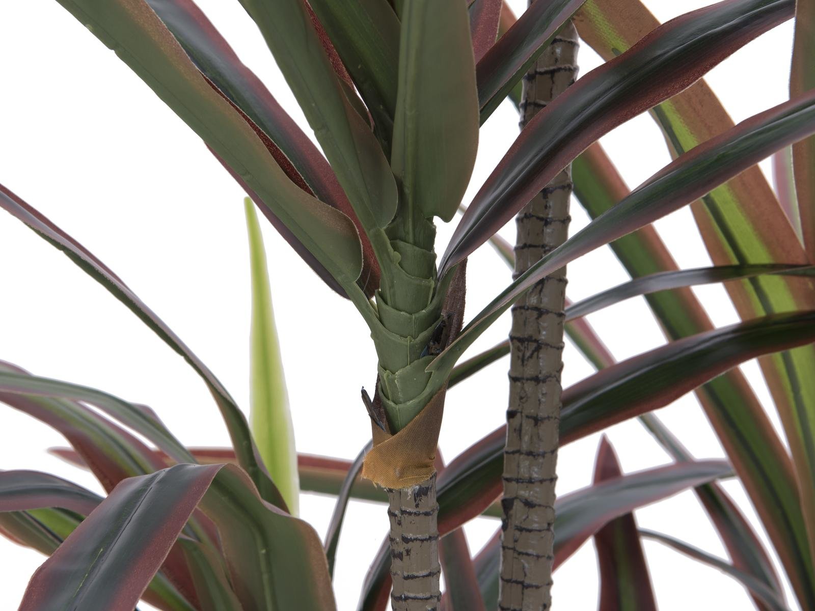 Dracaena, künstlich, grün-rot, 180 cm – Sunrise