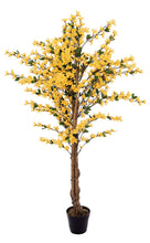 Lade das Bild in den Galerie-Viewer, Künstlicher Forsythienbaum mit 3 Natur-Stämmen, gelb 150 cm
