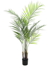 Lade das Bild in den Galerie-Viewer, Künstliche Areca-Palme (Betelpalme) mit üppigem Blattwerk. 125 - 185 cm
