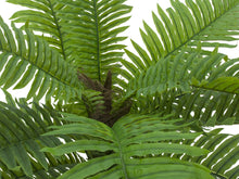 Lade das Bild in den Galerie-Viewer, Cycas-Palme, Kunstpflanze, 70cm
