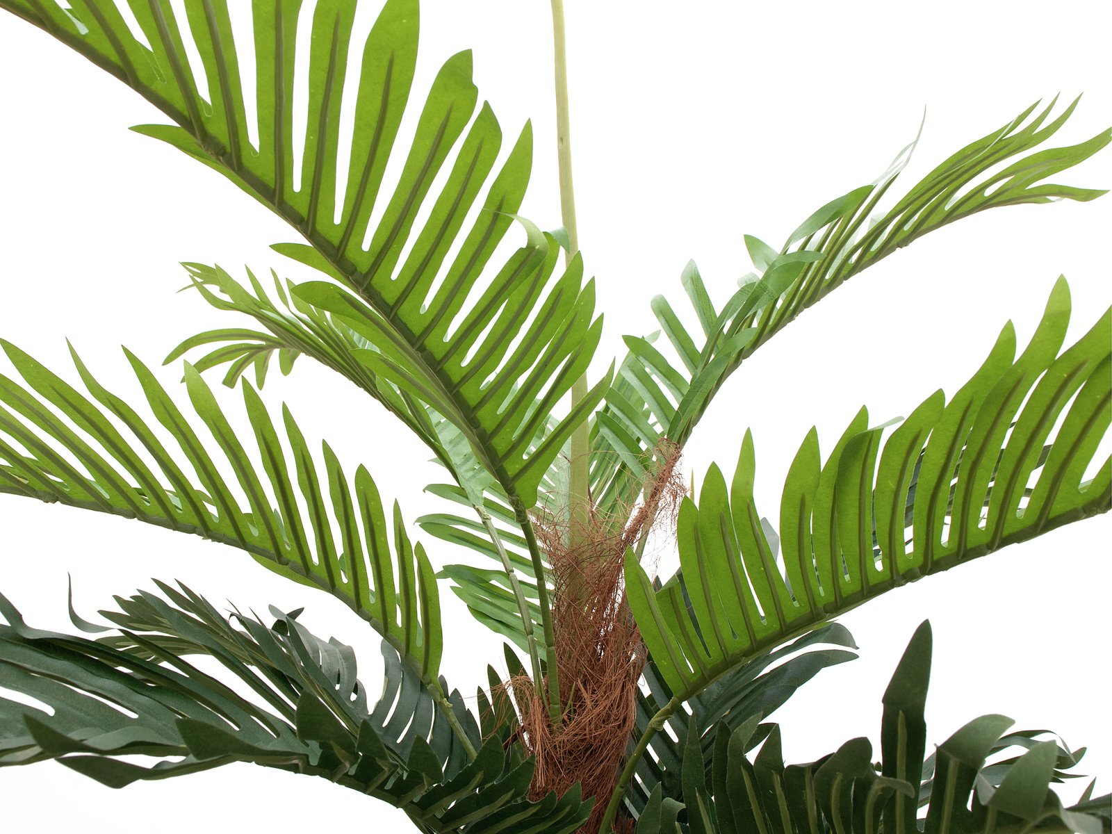 Künstliche Kentia-Palme, 120