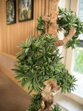 Lade das Bild in den Galerie-Viewer, Bonsai Palmenbaum 1,80 Meter
