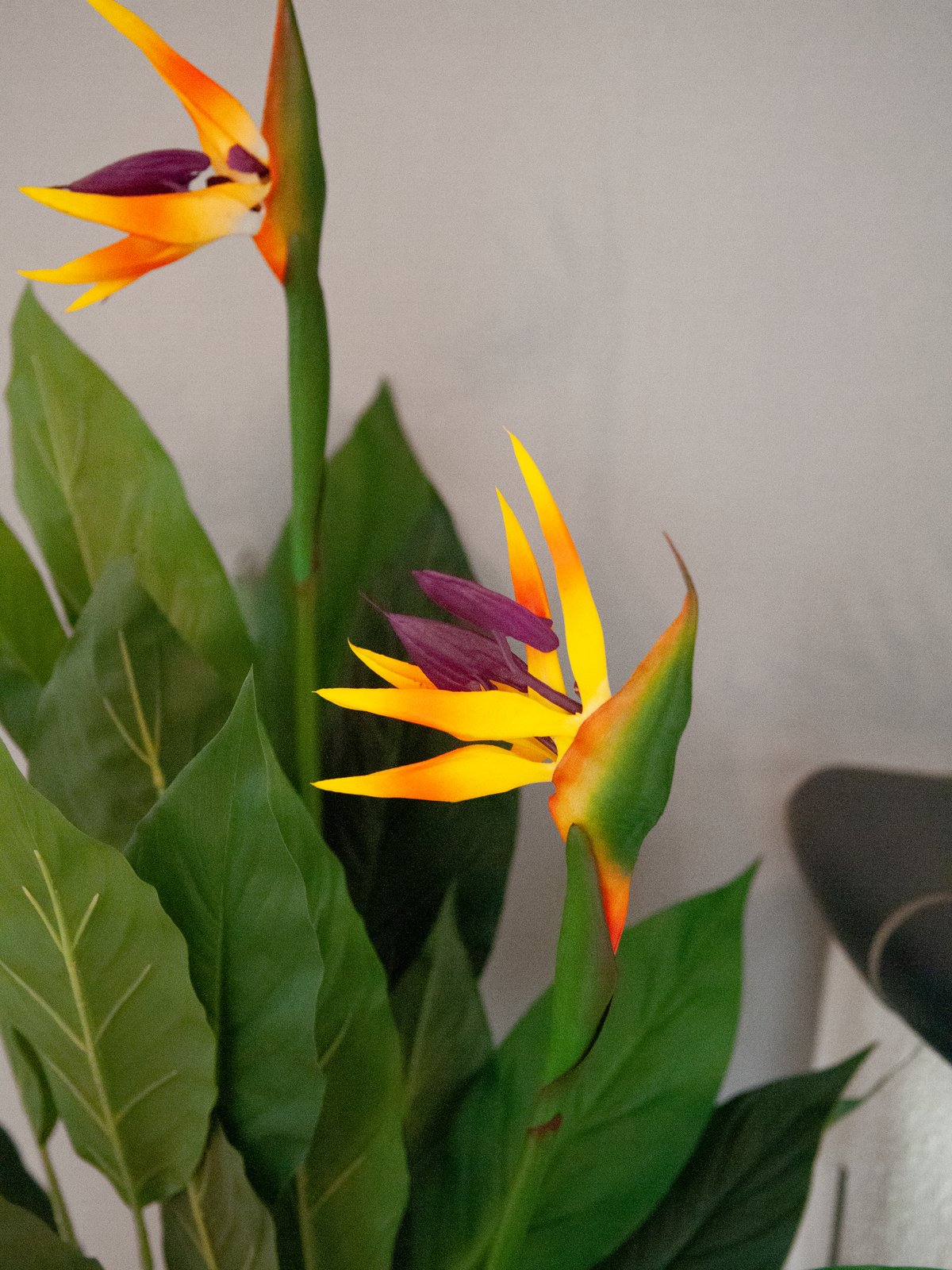 Künstliche Strelizie. Paradiesvogelblume. 90 cm. – Sunrise