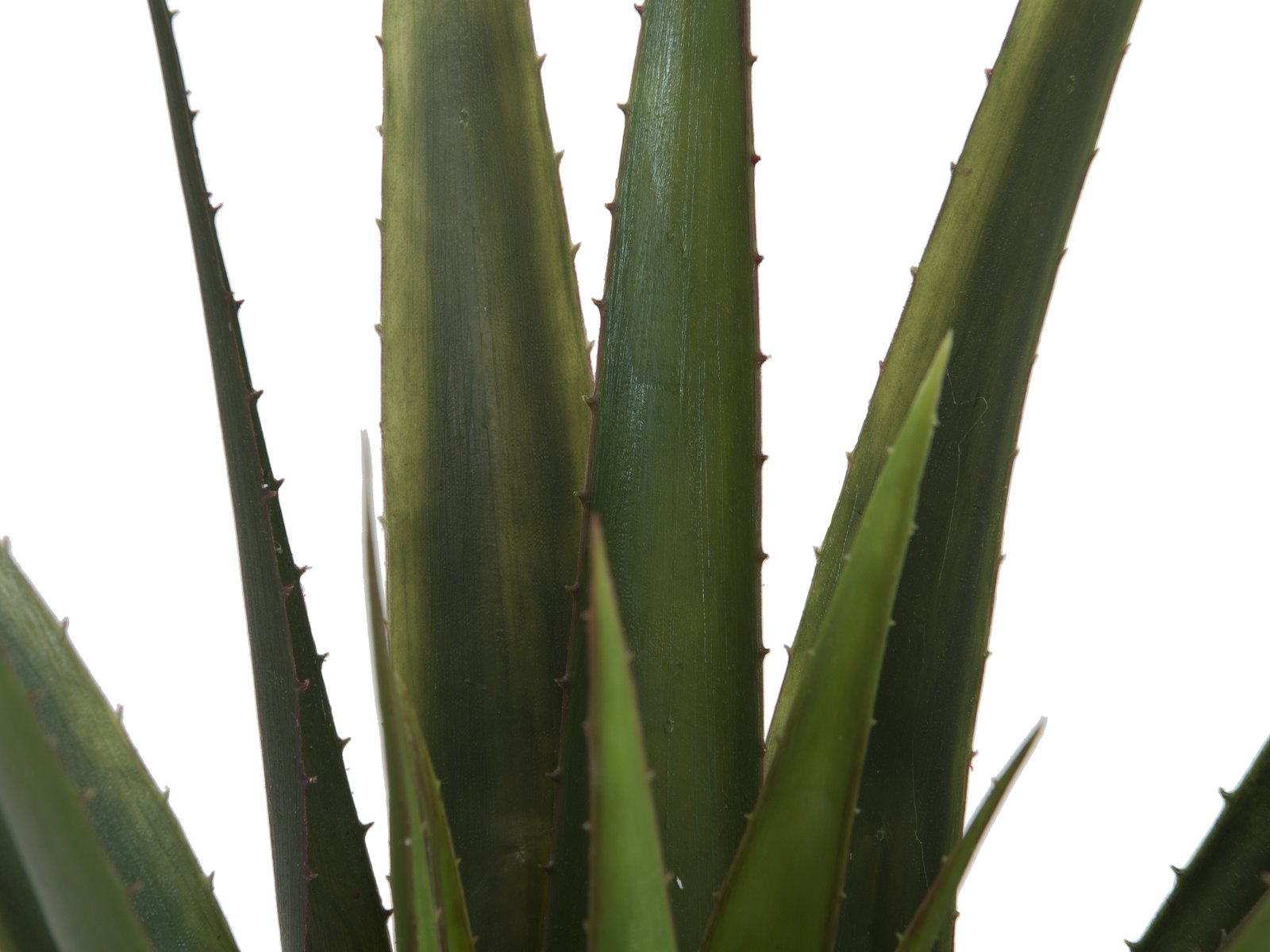 künstliche aloe vera pflanze Künstliche Aloe-Vera Pflanze 60cm – Sunrise