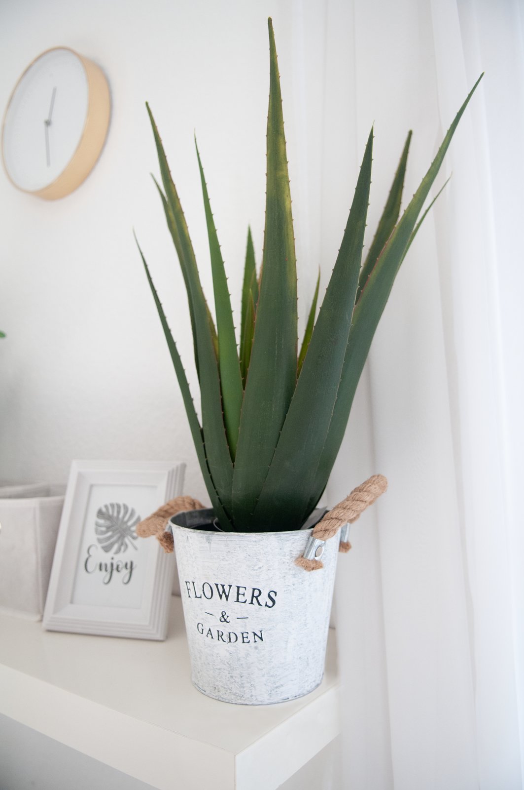 Künstliche Aloe-Vera Pflanze 60cm – Sunrise