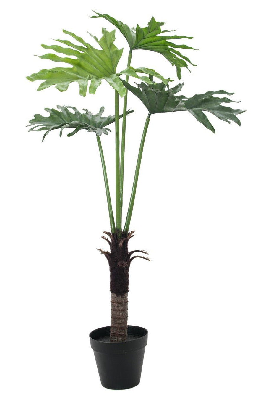 kunstpflanze 1m Splitphilodendron Kunstpflanze 1,20 Meter – Sunrise