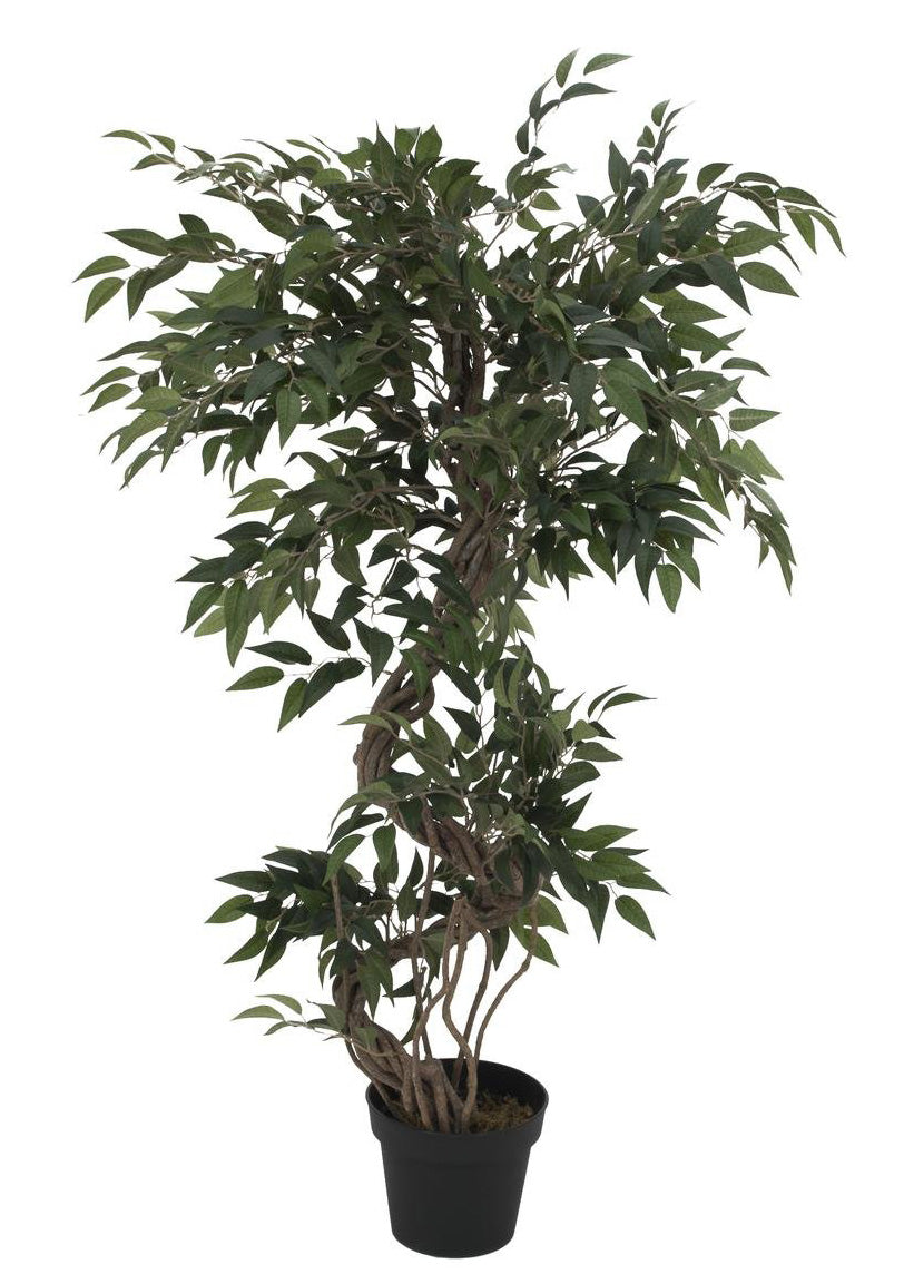 künstlicher ficus Künstlicher Ficus-Benjamini-Baum mit natürlichem Spiralstamm. 130 cm