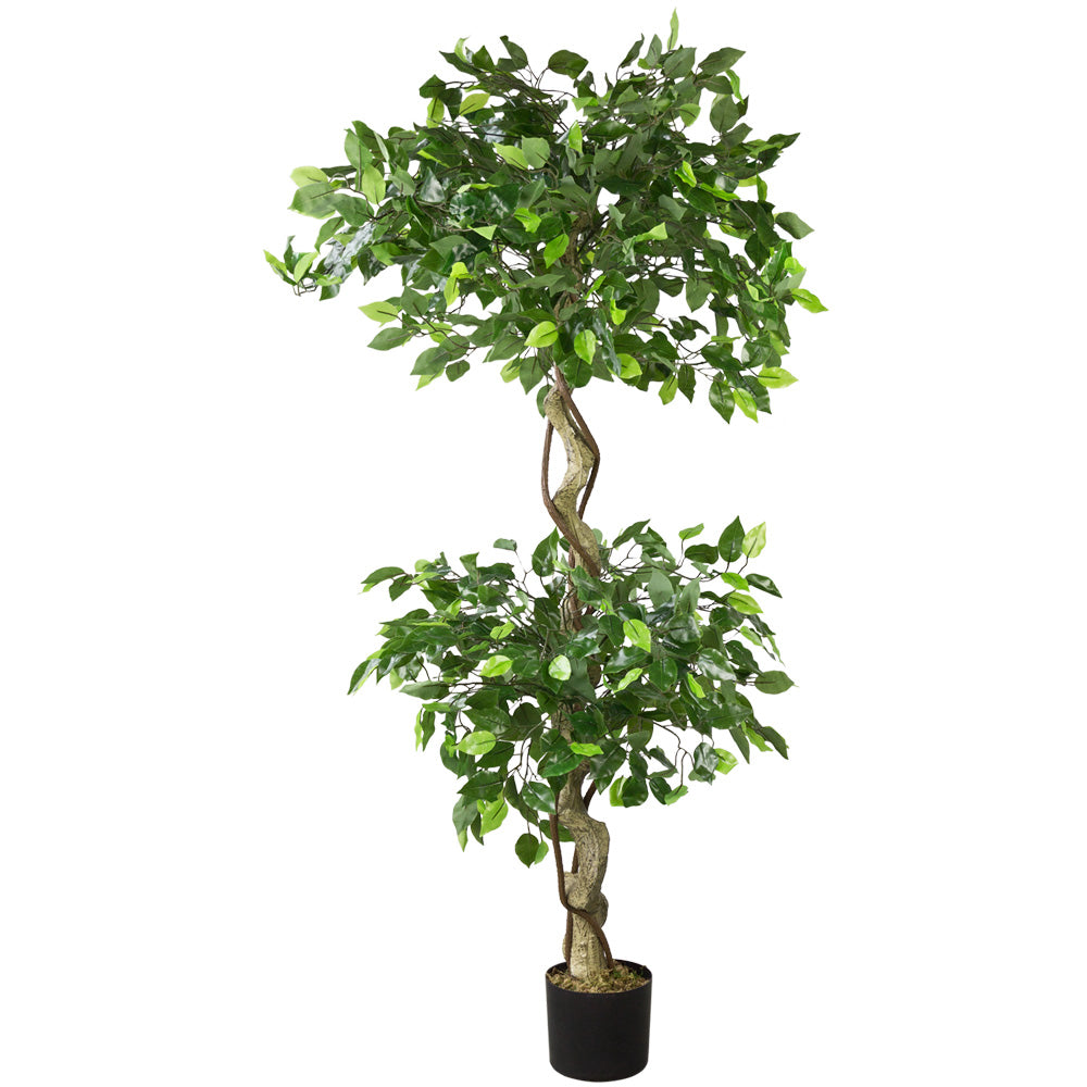 Künstlicher Ficus-Benjamini 150 cm mit 2 Baumkronen. Zierpflanze, Zier –  Sunrise
