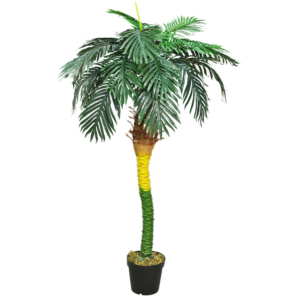 Knstliche Kokospalme 180 cm  Sunrise