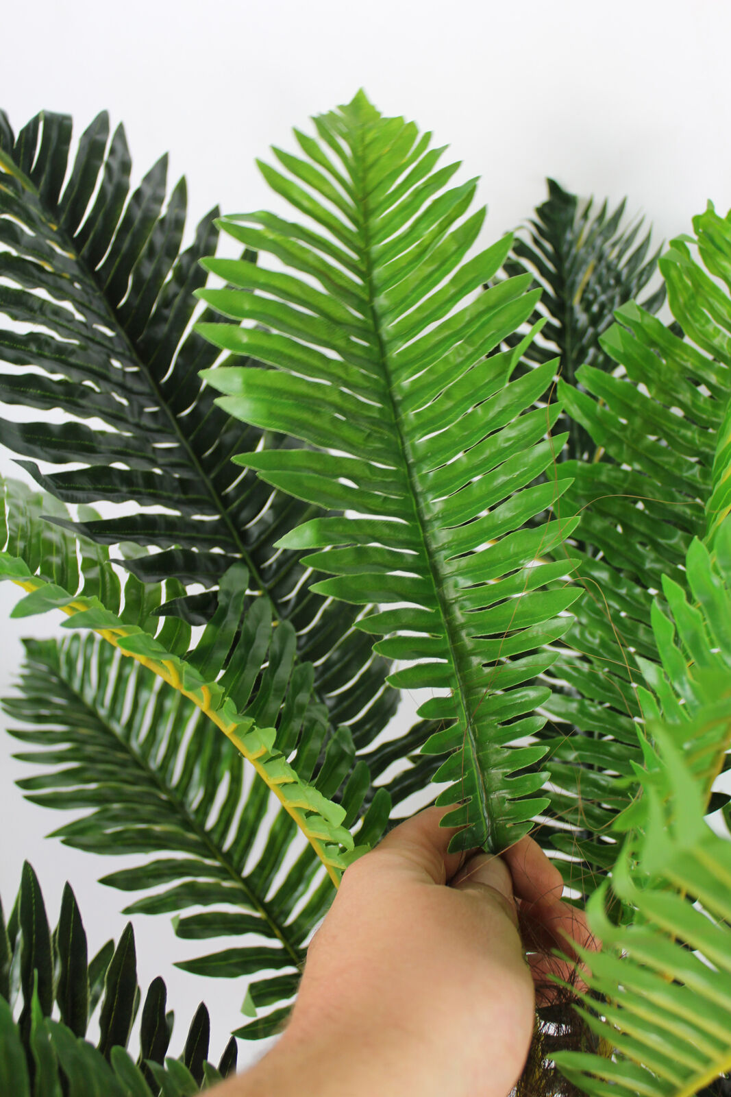 Künstliche Hawaii-Palme mit Naturstamm und 18 Palmenwedel. Textil. Pfl –  Sunrise