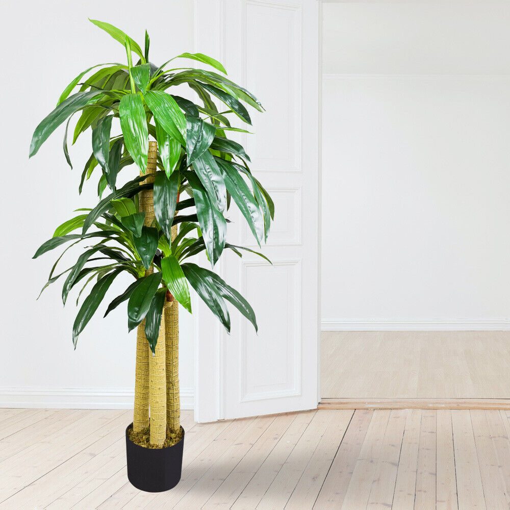 Künstlicher Drachenbaum mit authentischem Echtholzstamm 140 cm – Sunrise