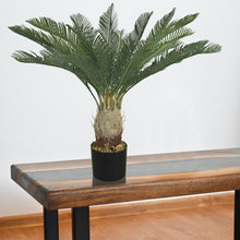 Lade das Bild in den Galerie-Viewer, Künstliche Cycaspalme Cycas Graspalme 80 cm
