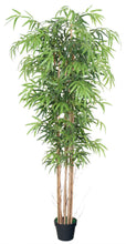 Lade das Bild in den Galerie-Viewer, Künstlicher Bambus-Baum mit Seidenblättern und Naturstämmen. Pflegefrei. 120, 150, 180 und 210 cm.
