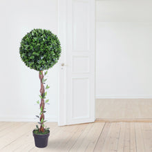 Lade das Bild in den Galerie-Viewer, Kirschlorbeerkugelbaum mit Naturstamm 130 cm
