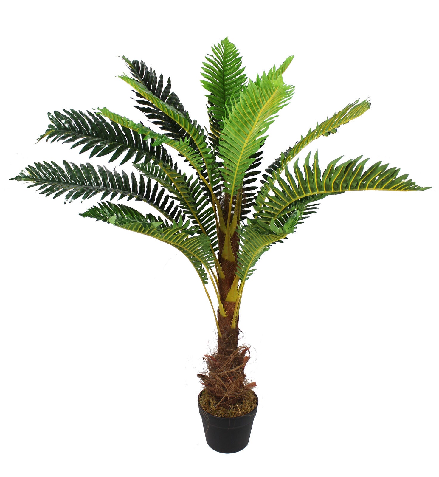 hawaii palme düngen Künstliche Hawaii-Palme mit Naturstamm und 18 Palmenwedel. Textil. Pfl –  Sunrise