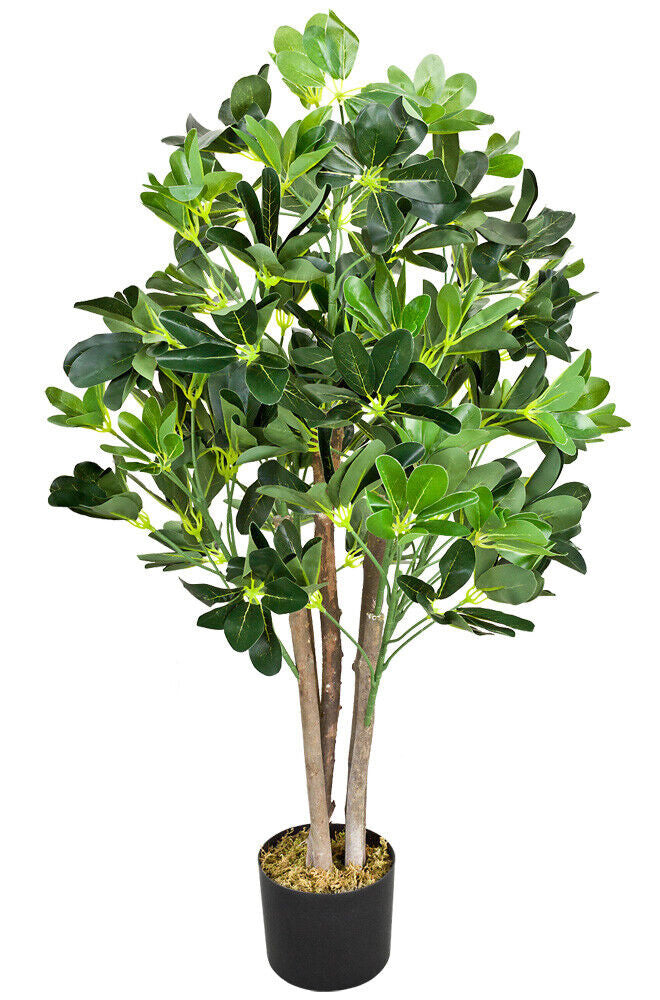 Künstliche Schefflera - Aralie 95 cm 5-stämmig