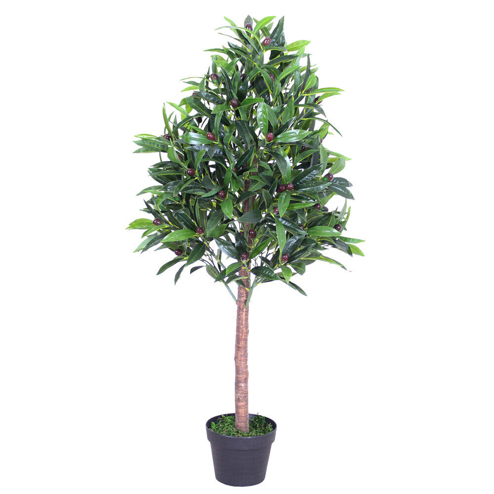 rhododendron azalea Electric Lights™ Double Pink Azalea main image 0