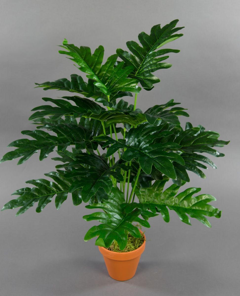 Monstera Real Touch 60cm grün im Topf – Sunrise