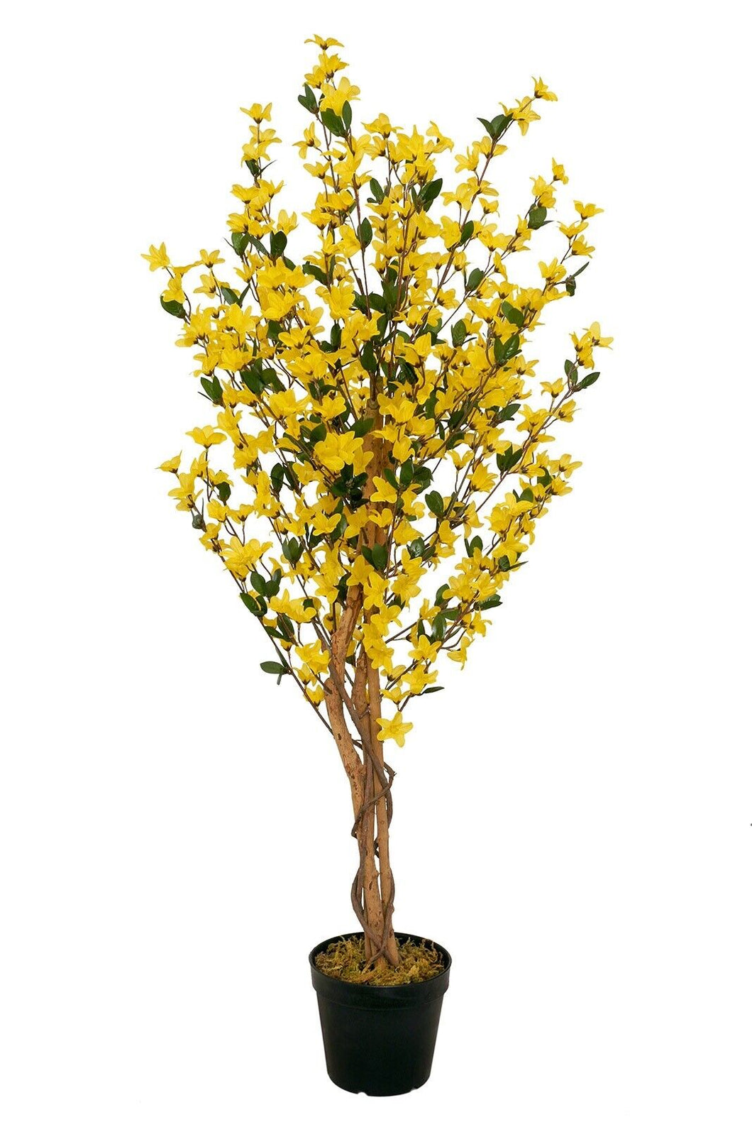 Künstliche Forsythie mit Naturstämmen, 120 cm