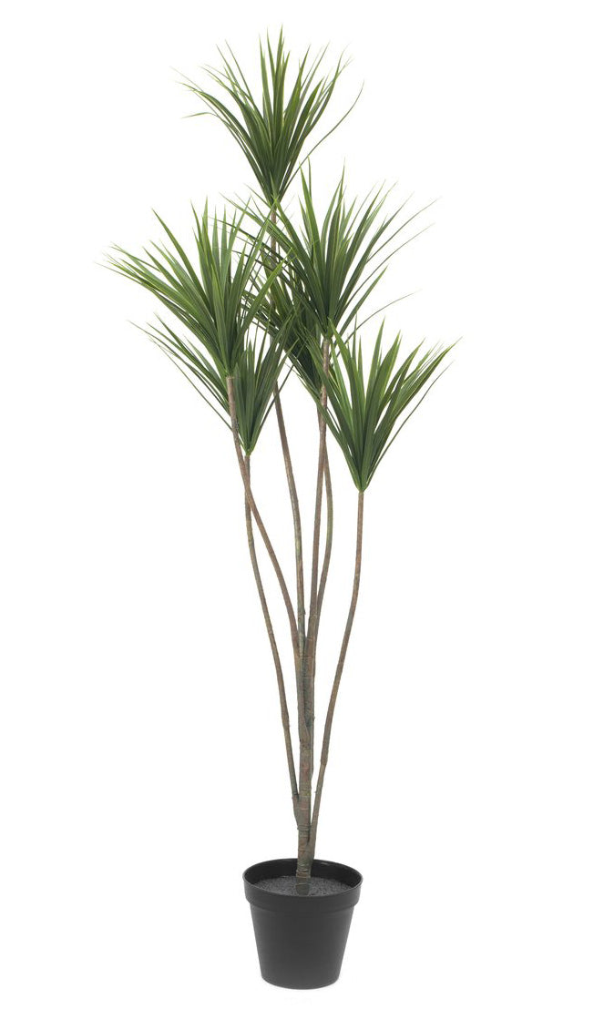 Knstliche Yucca-Palme 1,30 Meter  Sunrise