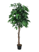 Lade das Bild in den Galerie-Viewer, Künstlicher Mango-Baum mit Seidenblättern und Naturstämmen. 150 - 180 cm.
