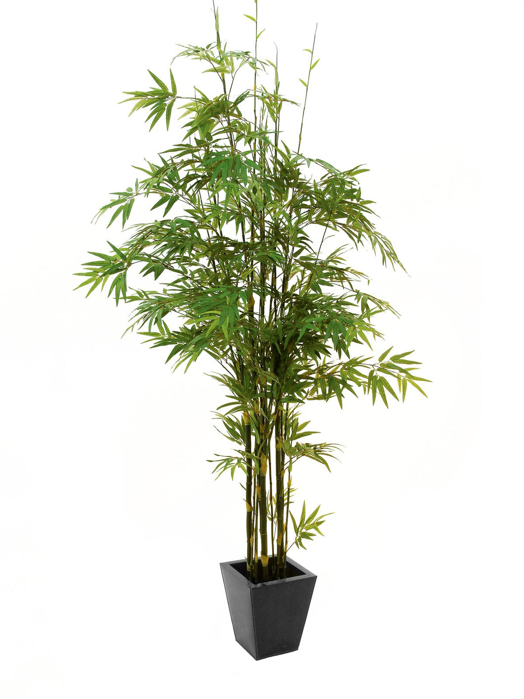 Künstlicher Dunkelstamm-Bambus mit Seidenblättern und Naturstämmen. 210 - 240 cm. Pflegefrei.