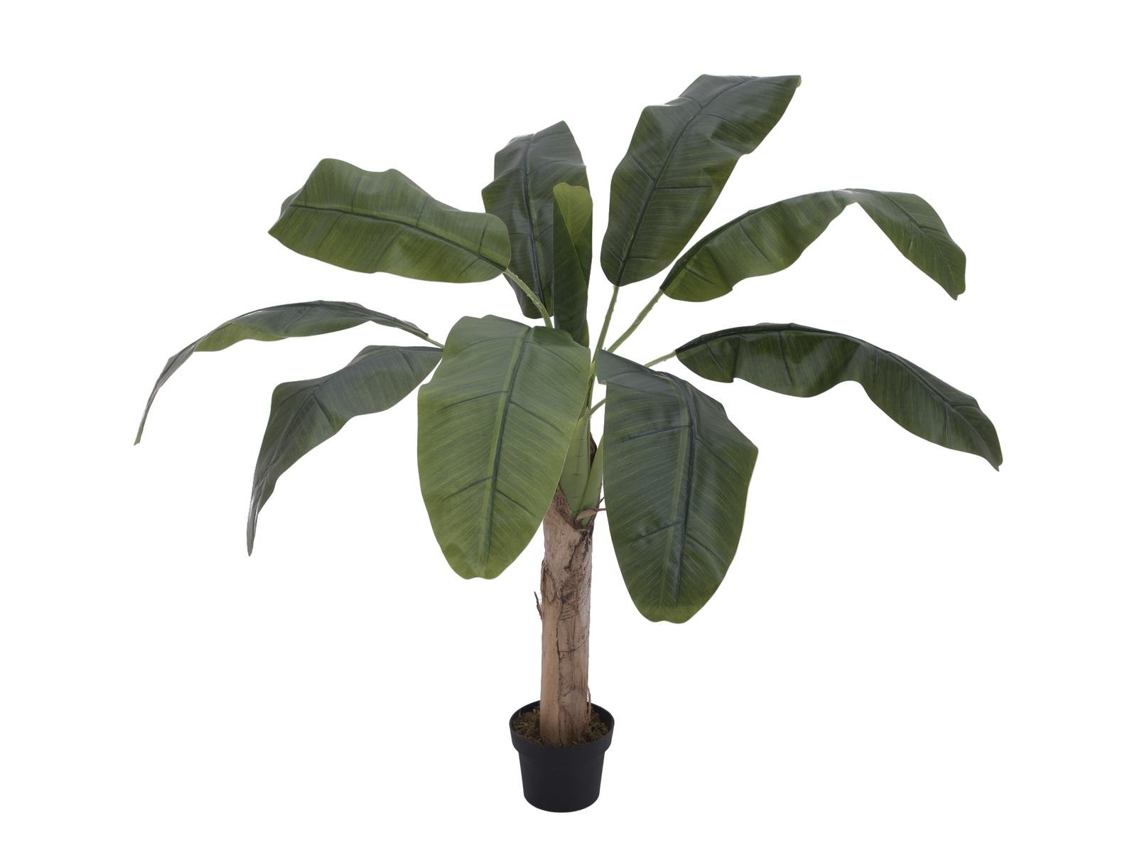 Künstliche Bananen-Palmen mit Seidenblättern und Naturstämmen. 6 Größe –  Sunrise