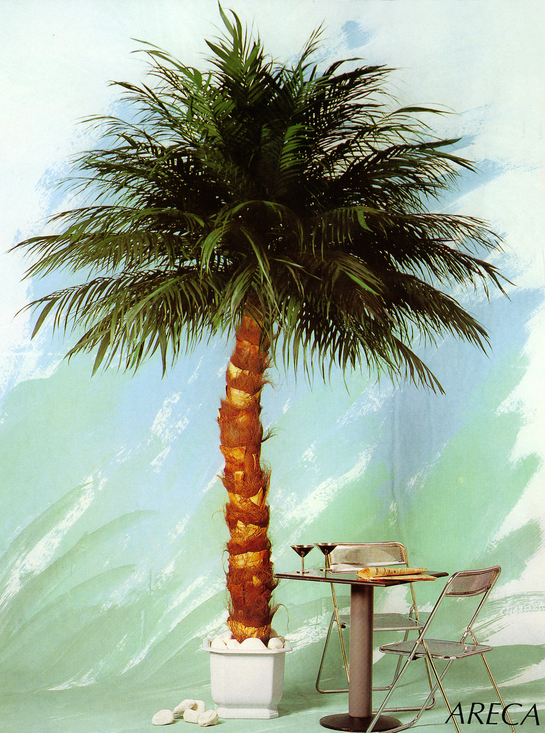 Areca-Palme mit konservierten, echte Palmwedeln und Naturstamm.